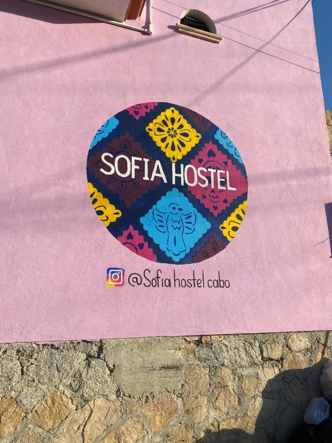 Sofia Hostel Cabo Cabo San Lucas Eksteriør bilde